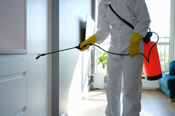 Best Mold Odor Removal Services  in Gunter, TX